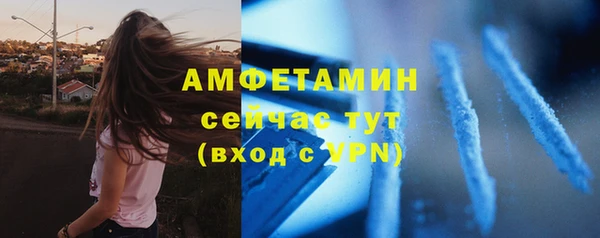 прущие грибы Заволжск
