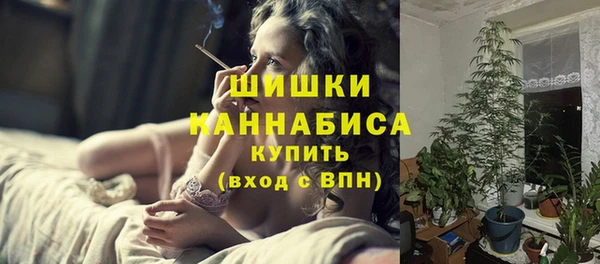 первитин Ельня