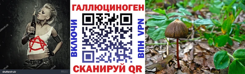 Галлюциногенные грибы MAGIC MUSHROOMS  mega маркетплейс  Иваново 